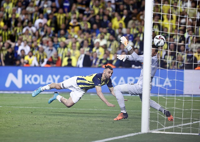 全行业的控 全行业的控