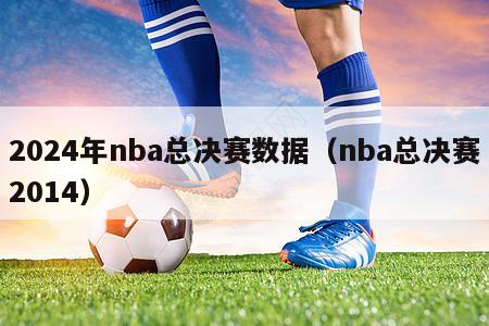 2024年nba总决赛数据（nba总决赛2014）