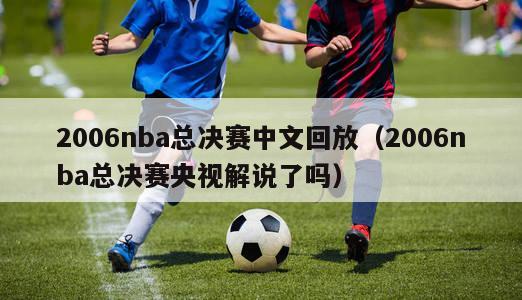 2006nba总决赛中文回放（2006nba总决赛央视解说了吗）
